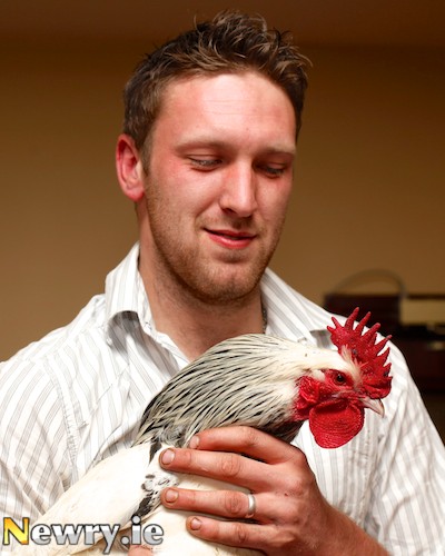 David Beattie, Chairman, Newry Show Poultry Committee launched the new Poultry Section at the Newry Show Press Reception. Photograph: Columba O'Hare David Beattie, Chairman, Newry Show Poultry Committee launched the new Poultry Section at the Newry Show Press Reception. Photograph: Columba O'Hare