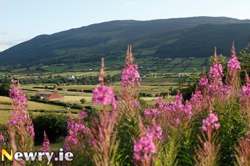 The potential of the Ring of Gullion is only beginning to be realised. Photograph: Columba O'Hare 