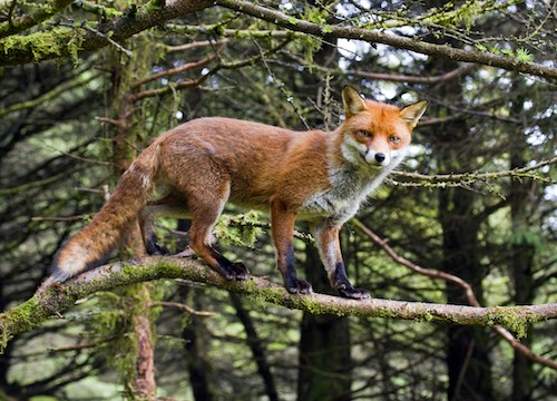 Photographer Enda Flynn  is hosting a free Heritage Photography Workshop at Slieve Gullion Courtyard.