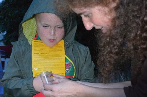 Checking out some of the Moths at Jonesborough.