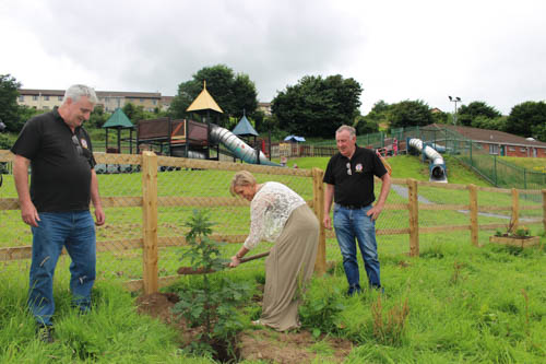 MEP Martina Anderson plants an oak tree, the symbol of County Derry, in the Newry Felons new memorial garden alongside Barcroft Community Association.