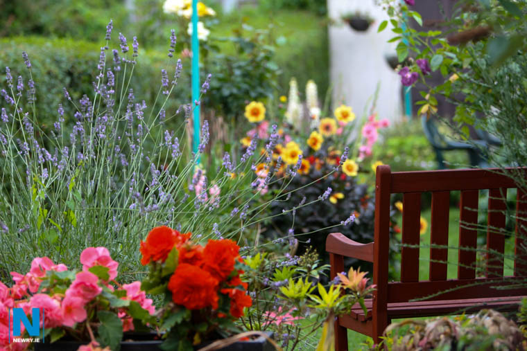 Get some free compost next week from your local Household Recycling Centre. Photograph: Columba O'Hare 
