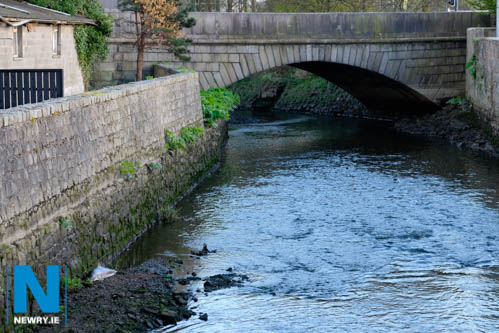 The bank where the Harbour Porpoise ended up in Newry's Clanrye River. Photograph: Columba O'Hare