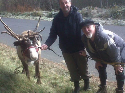 Larry McCabe and PatMcGinn get one of Santa's Reindeers into training.