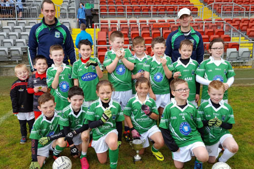 Shane O’Neill’s U8s – winners of the shield at the Shamrocks blitz