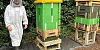 Peter Haughey, Bee Specialist at Greater Armagh Road Men’s Shed, pictured next to the hives. Specialist equipment such as beekeeping overalls and a honey extractor was purchased through a Housing Executive community involvement grant.