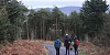 Slieve Gullion Forest Park. Photograph: Columba O'Hare/ Newry.ie 