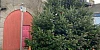 The Rathfriland Christmas tree.