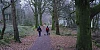 Slieve Gullion Forest Park. Photograph: Columba O'Hare/ Newry.ie 