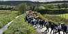 The 2025 march for Gaza. Photograph: Columba O'Hare/ Newry.ie 