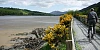 The Carlingford Lough Greenway. Photograph: Columba O'Hare/ Newry.ie 