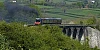 The Enterprise steam train travelling over the 18 arches in 2017. Photograph: Columba O'Hare/ Newry.ie 