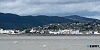 Warrenpoint town. Photograph: Columba O'Hare/ Newry.ie 