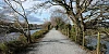 Carlingford Lough Greenway. Photograph: Columba O'Hare/ Newry.ie 