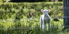 Photograph:Rod Long/ Unsplash