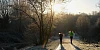 Newry Canal towpath. Photograph: Columba O'Hare/ Newry.ie 