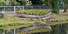 The now planted boat
