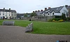McClelland Park, Newry. Photograph: Columba O'Hare/ Newry.ie 