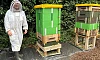 Peter Haughey, Bee Specialist at Greater Armagh Road Men’s Shed, pictured next to the hives. Specialist equipment such as beekeeping overalls and a honey extractor was purchased through a Housing Executive community involvement grant.