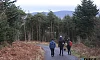 Slieve Gullion Forest Park. Photograph: Columba O'Hare/ Newry.ie 
