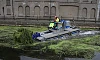 Newry, Mourne and Down District Council maintenance crew member Brendan McCabe clearing invasive weeds from Newry Canal.