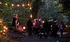 Footsteps in the Forest in 2025. Photograph: Columba O'Hare/ Newry.ie 