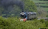 A steam train goes over the 18 Arches. Photograph: Columba O'Hare/ Newry.ie 
