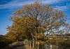 Carlingford Lough Greenway is just one of the local projects to have benefited from the Peace Programme. Photograph: Columba O'Hare/ Newry.ie 