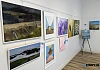 A selection of paintings on display from Warrenpoint Art Group.
