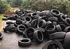 The tyres dumped at the side of the N1.