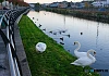Newry Canal. Photograph: Columba O'Hare/ Newry.ie 