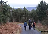 Slieve Gullion Forest Park. Photograph: Columba O'Hare/ Newry.ie 