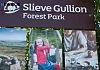 Slieve Gullion Forest Park is one of the sites where parking charges are being proposed. Photograph: Columba O'Hare 