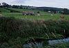 Newry Canal. Photograph: Columba O'Hare/ Newry.ie 