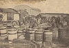 Employees at work at McKee’s Fish Curing Station, c.1905. A store belonging to Spillers & Bakers Ltd can be seen in the background. Newry and Mourne Museum Collection