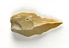 Neolithic flint scraper, dating from 4000 BC to 2400 BC and found during the Carnbane excavations. Newry and Mourne Museum Collection.