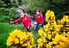 The Mourne International Walking Festival is this weekend.