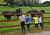 HSENI are urging Farming Families to prioritise Child Safety this summer