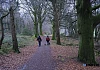Slieve Gullion Forest Park. Photograph: Columba O'Hare/ Newry.ie 