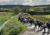 The 2025 march for Gaza. Photograph: Columba O'Hare/ Newry.ie 