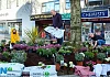 Grace and Garry McElherron and Jonny McCullagh hard at work planting in Marcus Square, Hill Street, Newry as part of an initiative by Newry 2020 supported by Live Here Love Here. Photograph: Columba O'Hare/ Newry.ie