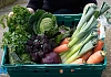 Vegetables don't need to be smothered in plastic wrapping when you buy them. You do wash them before use after all! Photograph: Columba O'Hare/ Newry.ie 