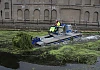Newry, Mourne and Down District Council maintenance crew member Brendan McCabe clearing invasive weeds from Newry Canal.