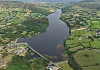 Algae on the lake at Camlough.