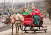 Chairperson of Newry Mourne & Down District Council Gillian Fitzpatrick and her Elf (Cailum Kilcoyne) guide Santas reindeer to the Christmas Tree Switch On in Newry & Downpatrick