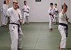 Newry Karate Club