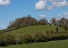The Crown Mound as it appears today, overgrown with trees and bushes. Newry and Mourne Museum Collection
