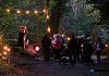 Footsteps in the Forest in 2025. Photograph: Columba O'Hare/ Newry.ie 