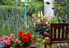 Get some free compost next week from your local Household Recycling Centre. Photograph: Columba O'Hare 