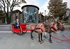 Councillor Mark Murnin gets ready for the Christmas season. 